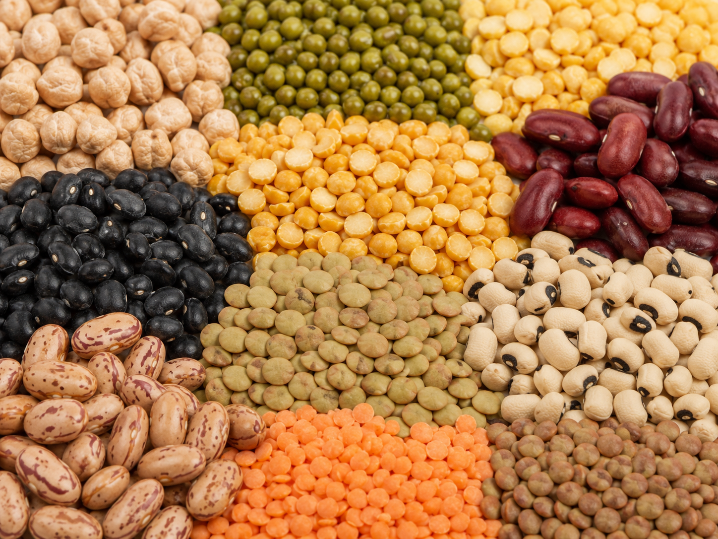 Pulses & Lentils